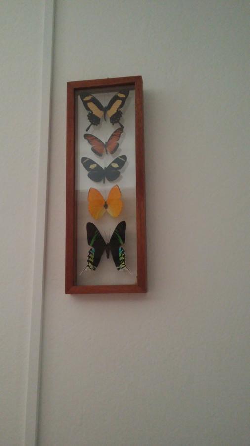קוסקו Arcopata Guest House מראה חיצוני תמונה